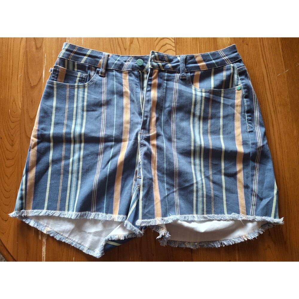 Judy Blue Vibrant Striped Frayed Denim Shorts Size 1XL